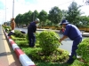 Dịch vụ làm vườn chuyên nghiệp nhờ công ty cây xanh Tuấn Hùng